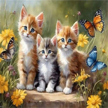 Lade das Bild in den Galerie-Viewer, Katze-Voll  Square Diamond Painting-40x30cm