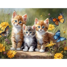 Lade das Bild in den Galerie-Viewer, Katze-Voll  Square Diamond Painting-40x30cm
