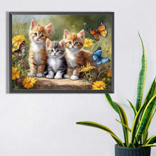 Lade das Bild in den Galerie-Viewer, Katze-Voll  Square Diamond Painting-40x30cm
