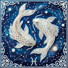 Lade das Bild in den Galerie-Viewer, Partial Pearl Painting mit Rahmen -25x25cm