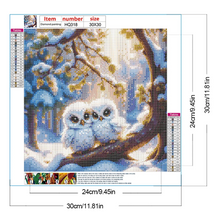 Lade das Bild in den Galerie-Viewer, ( Multi-Größe)Eulen - Diamond Painting