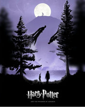 Lade das Bild in den Galerie-Viewer, Harry potter-Diamond Painting- 40*50