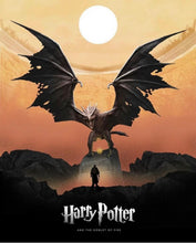 Lade das Bild in den Galerie-Viewer, Harry potter-Diamond Painting- 40*50