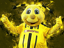 Lade das Bild in den Galerie-Viewer, BVB- Diamond Painting-30*40cm