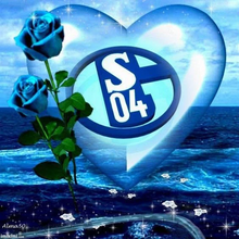 Lade das Bild in den Galerie-Viewer, (3PCS)Fußball Schalke 04- Diamond Painting 40*40cm