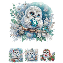 Lade das Bild in den Galerie-Viewer, Eule – Teilweise spezielles Diamantgemälde – 30 x 30 cm
