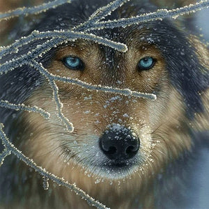 Wolf - runder runder Diamant - 30x30cm