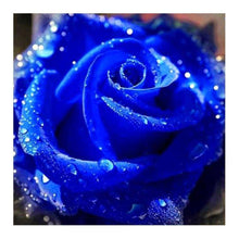 Lade das Bild in den Galerie-Viewer, Blaue Rose - voller runder Diamant - 30x30cm
