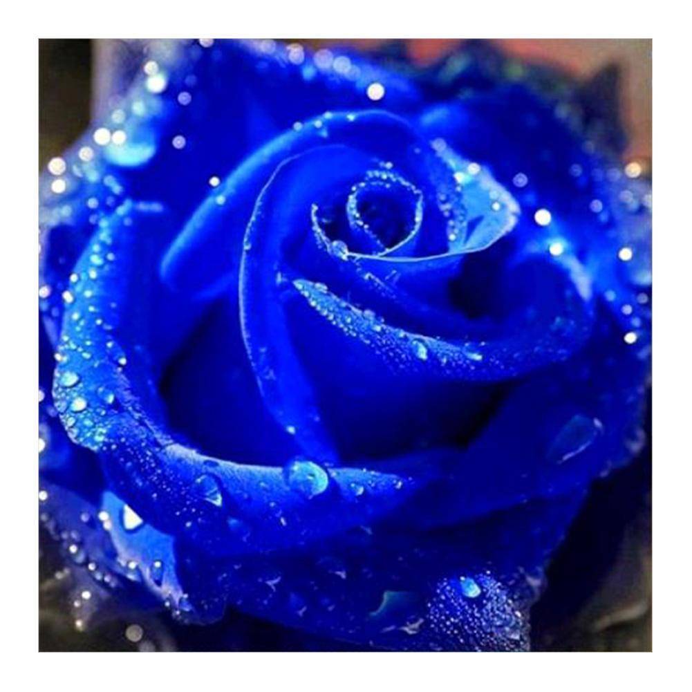 Blaue Rose - voller runder Diamant - 30x30cm