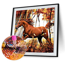 Lade das Bild in den Galerie-Viewer, Pferd - volle Diamant-Malerei - 30x30cm