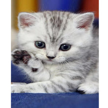Lade das Bild in den Galerie-Viewer, Katze - voller runder Diamant - 40x30cm