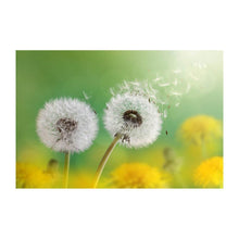 Lade das Bild in den Galerie-Viewer, Löwenzahn - voller runder Diamant - 40x30cm