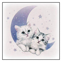 Lade das Bild in den Galerie-Viewer, Süße Katzen Mond - volle Runde Diamant - 25x25cm