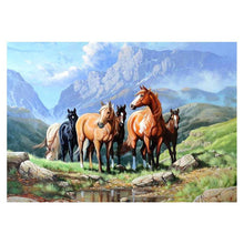 Lade das Bild in den Galerie-Viewer, Pferde - volle Diamant-Malerei - 30x40cm