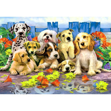 Lade das Bild in den Galerie-Viewer, Hunde Tier - volle Diamant-Malerei - 40x30cm