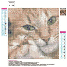 Lade das Bild in den Galerie-Viewer, Katze - volle Diamant-Malerei - 30x30cm