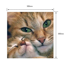 Lade das Bild in den Galerie-Viewer, Katze - volle Diamant-Malerei - 30x30cm