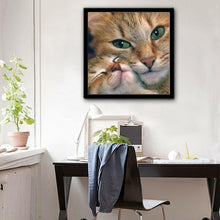 Lade das Bild in den Galerie-Viewer, Katze - volle Diamant-Malerei - 30x30cm