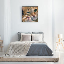 Lade das Bild in den Galerie-Viewer, Katze - volle Diamant-Malerei - 30x30cm