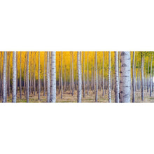 Lade das Bild in den Galerie-Viewer, Multi-Baum - voller runder Diamant - 80x30cm