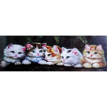 Lade das Bild in den Galerie-Viewer, Katze - volle Runde Diamant-Malerei - 80x30cm