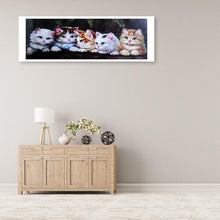 Lade das Bild in den Galerie-Viewer, Katze - volle Runde Diamant-Malerei - 80x30cm