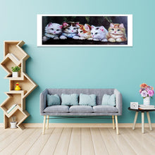 Lade das Bild in den Galerie-Viewer, Katze - volle Runde Diamant-Malerei - 80x30cm