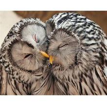 Lade das Bild in den Galerie-Viewer, Kuss Vogel - voller quadratischer Diamant - 25x30cm