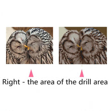 Lade das Bild in den Galerie-Viewer, Kuss Vogel - voller quadratischer Diamant - 25x30cm