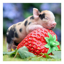 Lade das Bild in den Galerie-Viewer, Süßes Schwein - voller quadratischer Diamant - 30x30cm
