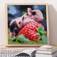 Lade das Bild in den Galerie-Viewer, Süßes Schwein - voller quadratischer Diamant - 30x30cm