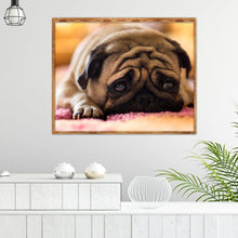 Lade das Bild in den Galerie-Viewer, Trauriger Hund - voller quadratischer Diamant - 25x30cm