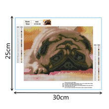 Lade das Bild in den Galerie-Viewer, Trauriger Hund - voller quadratischer Diamant - 25x30cm