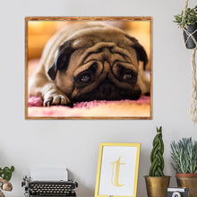 Lade das Bild in den Galerie-Viewer, Trauriger Hund - voller quadratischer Diamant - 25x30cm