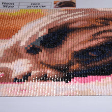 Lade das Bild in den Galerie-Viewer, Trauriger Hund - voller quadratischer Diamant - 25x30cm