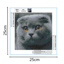 Lade das Bild in den Galerie-Viewer, Graue Katze - voller quadratischer Diamant - 25x25cm