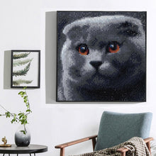 Lade das Bild in den Galerie-Viewer, Graue Katze - voller quadratischer Diamant - 25x25cm