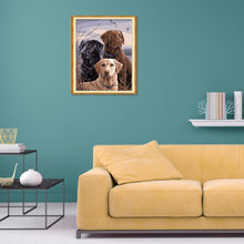Lade das Bild in den Galerie-Viewer, Hund - volle Diamant-Malerei - 30x25cm