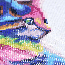 Lade das Bild in den Galerie-Viewer, Farbe Katze - voller quadratischer Diamant - 25x25cm