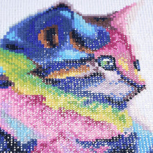 Lade das Bild in den Galerie-Viewer, Farbe Katze - voller quadratischer Diamant - 25x25cm