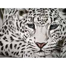 Lade das Bild in den Galerie-Viewer, Leopard - voller quadratischer Diamant - 40x30cm