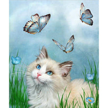 Lade das Bild in den Galerie-Viewer, Katze Schmetterling - volle Diamant-Malerei - 30x40cm