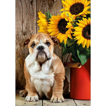 Lade das Bild in den Galerie-Viewer, Hund - voller runder Diamant - 30x40cm