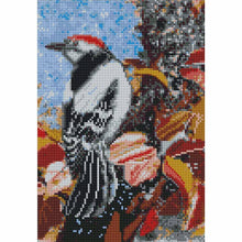 Lade das Bild in den Galerie-Viewer, Vogel - voller quadratischer Diamant - 30x40cm