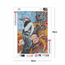Lade das Bild in den Galerie-Viewer, Vogel - voller quadratischer Diamant - 30x40cm