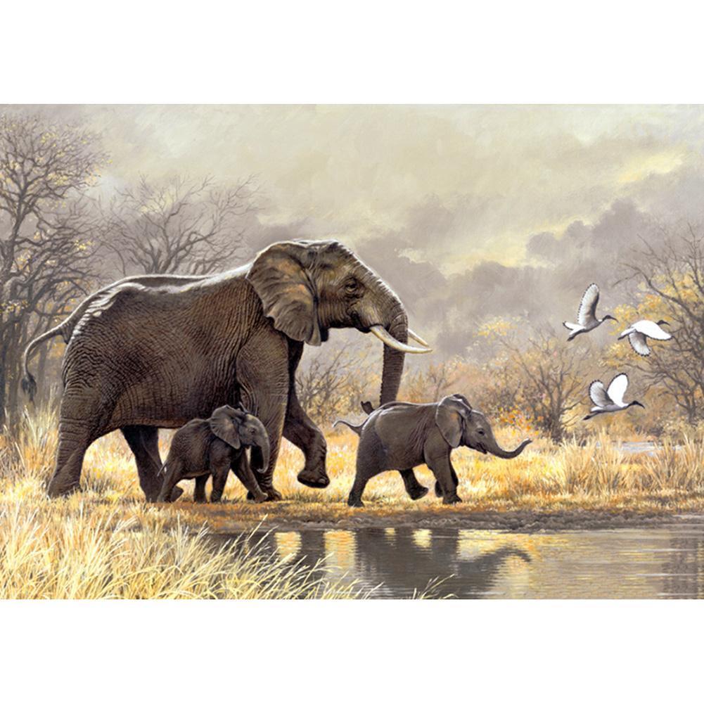Elefanten - volle Diamant-Malerei - 40x30cm
