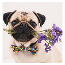 Lade das Bild in den Galerie-Viewer, Haustier Hund - voller quadratischer Diamant - 40x30cm