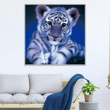 Lade das Bild in den Galerie-Viewer, Tiger - voller quadratischer Diamant - 30x30cm
