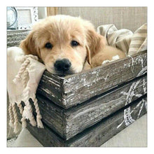 Lade das Bild in den Galerie-Viewer, Hund - voller runder Diamant - 30x30cm
