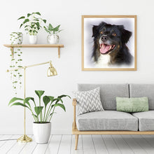Lade das Bild in den Galerie-Viewer, Schwarzer Hund - volle Diamant-Malerei - 30x30cm
